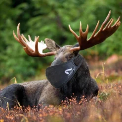 Flylow Gear Accessories Lodge Mask